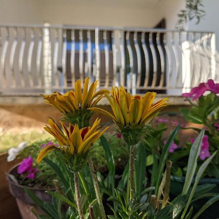 Apartment Ika Baška Kültér fotó
